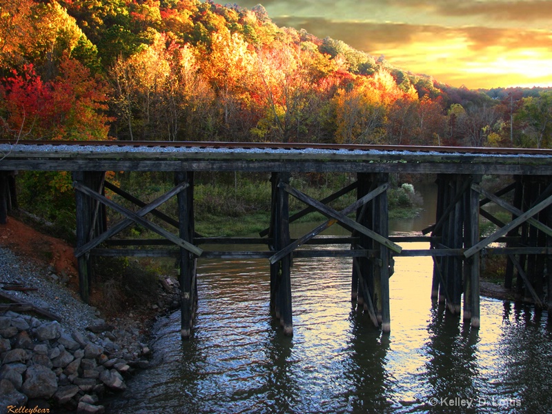 autumn train bridge 