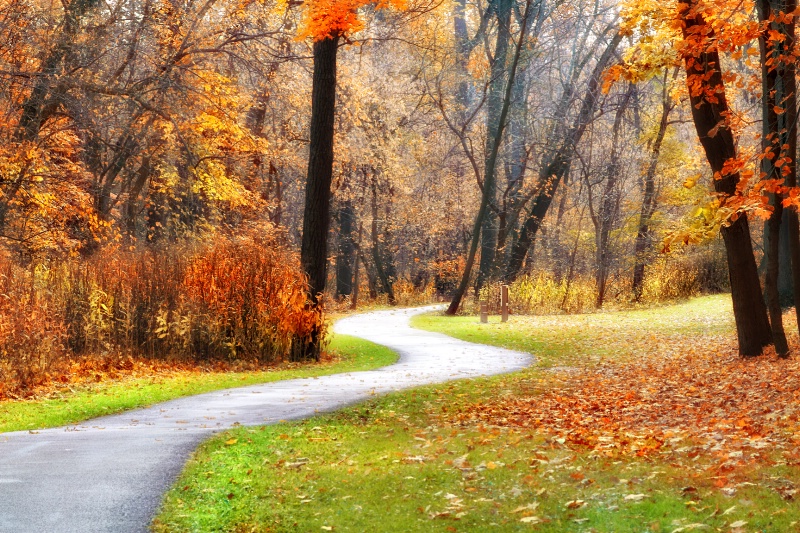 Autumn Walk