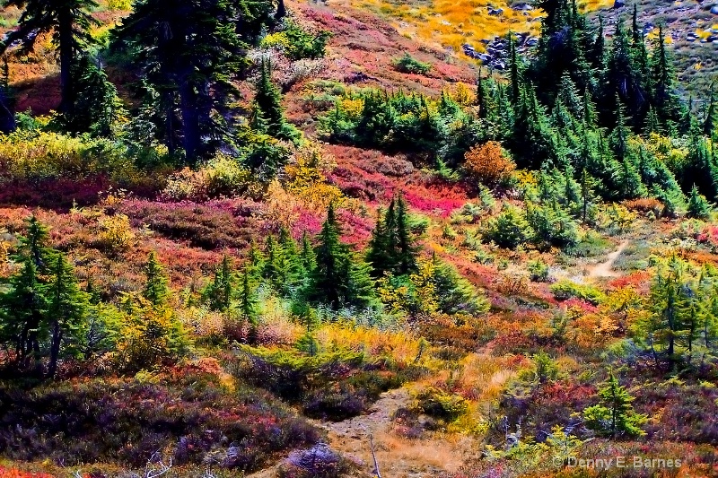 Heather Meadows, Mt Baker-Washington - ID: 7370004 © Denny E. Barnes