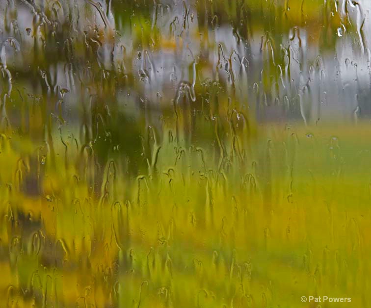 Inside Looking Out - ID: 7372256 © Pat Powers