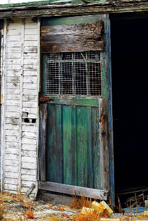 beach shed door