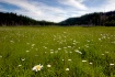 June