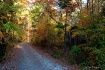 Road to the Past