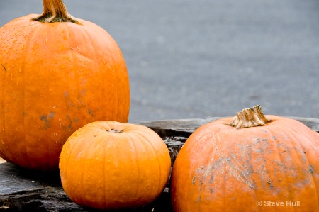 Three Pumpkins