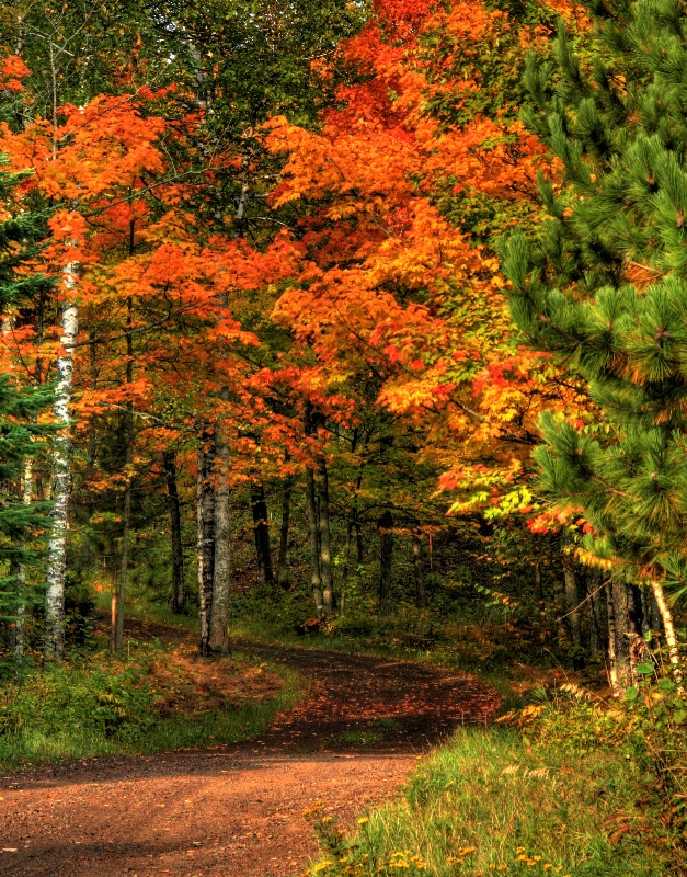 Fall In The Back Roads Of MN