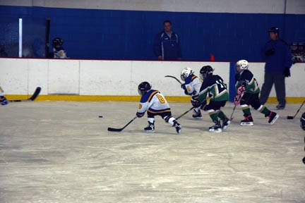 Hockey Rink