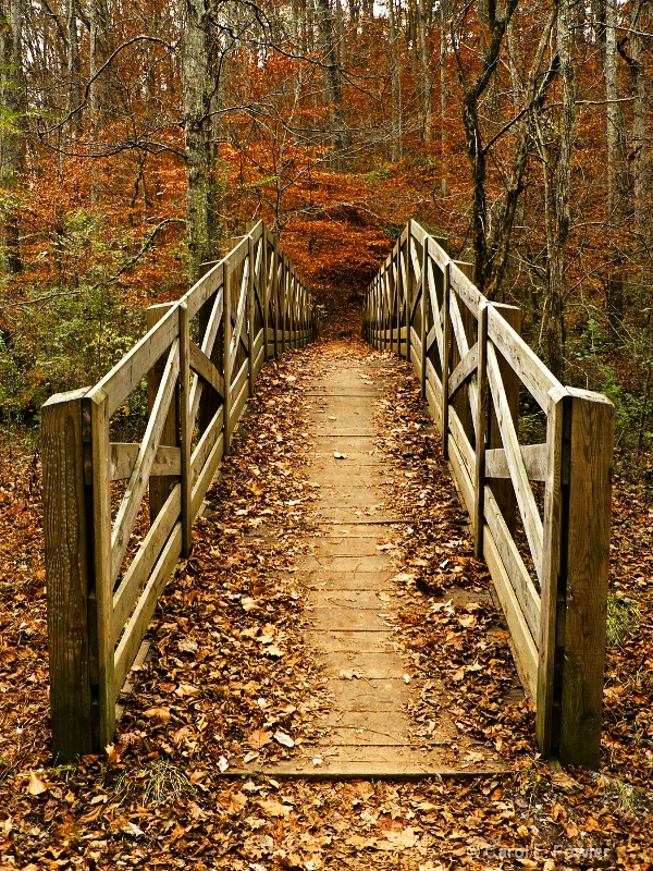 Footbridge