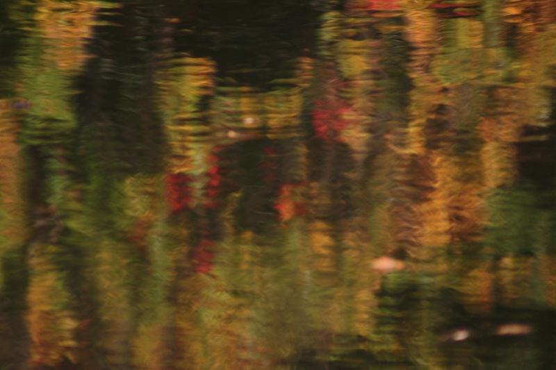 Fall leaves reflected off the water - ID: 7385622 © M.  Martha M. Eid