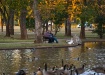 Duck pond in Lucy...