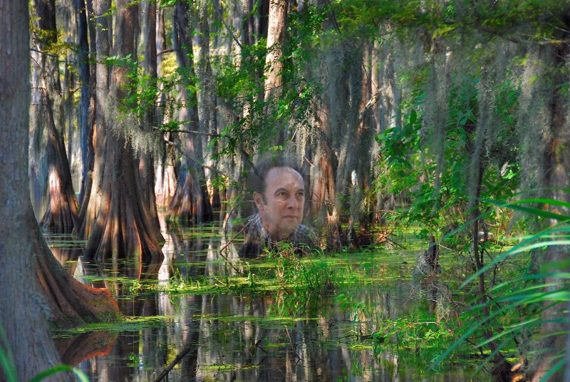 The Swamp From Within