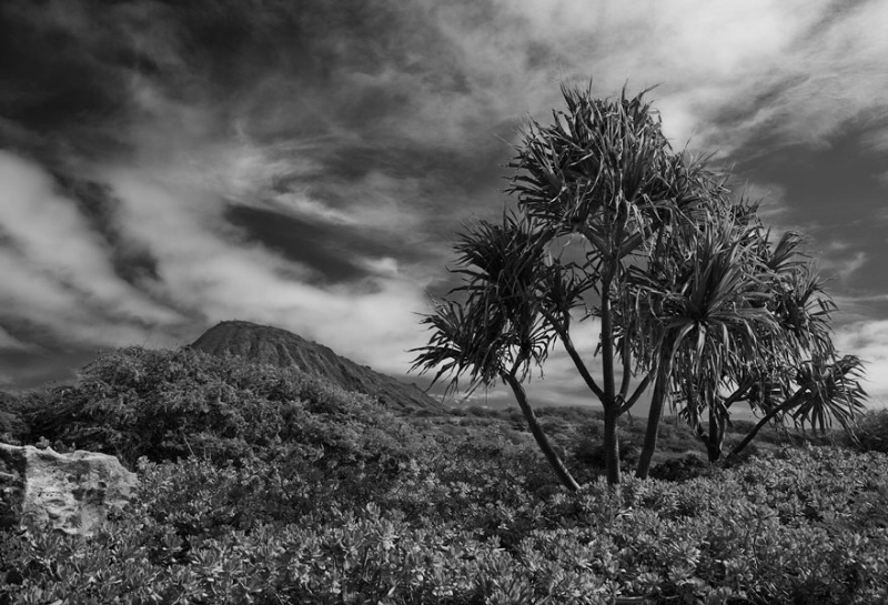  s8e4885 hanauma bay