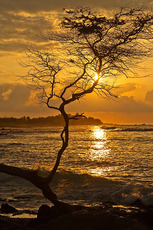 Anaehoomalu bay sunset