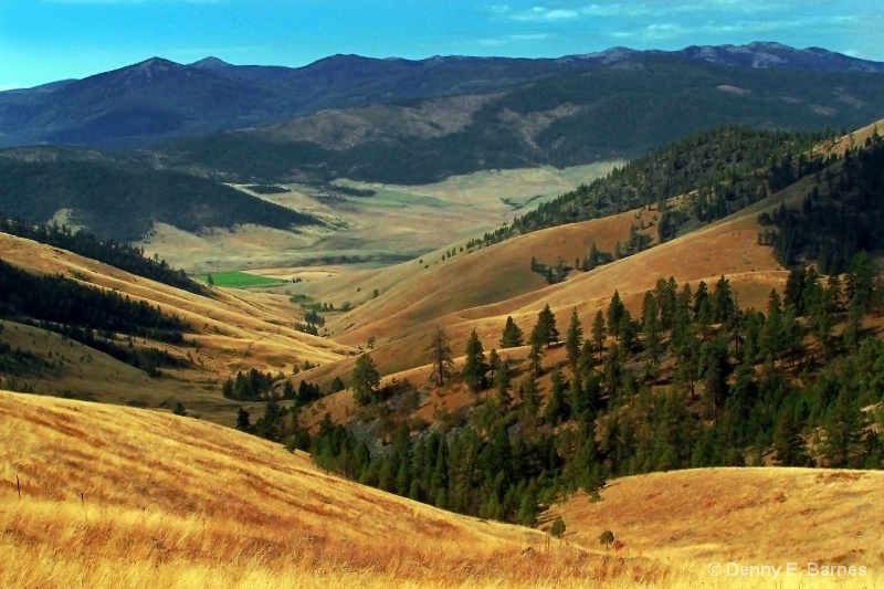 National Bison Range, Montana  - ID: 7395848 © Denny E. Barnes