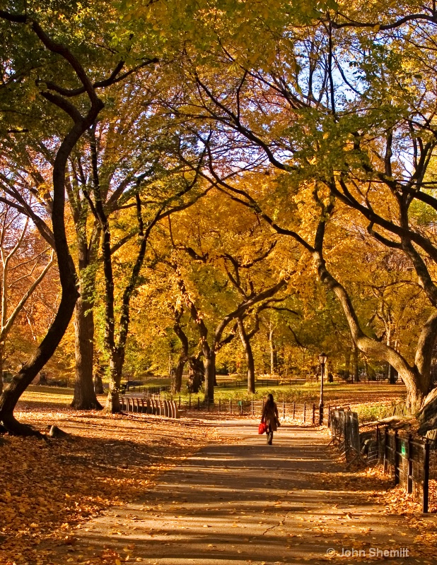 Fall in Central Park - captures a perfect fall day