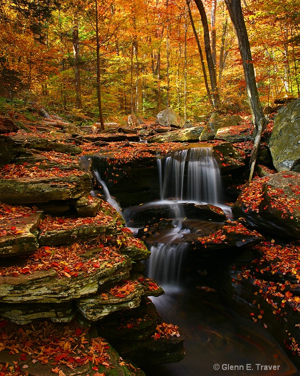 Fall at the Glen's