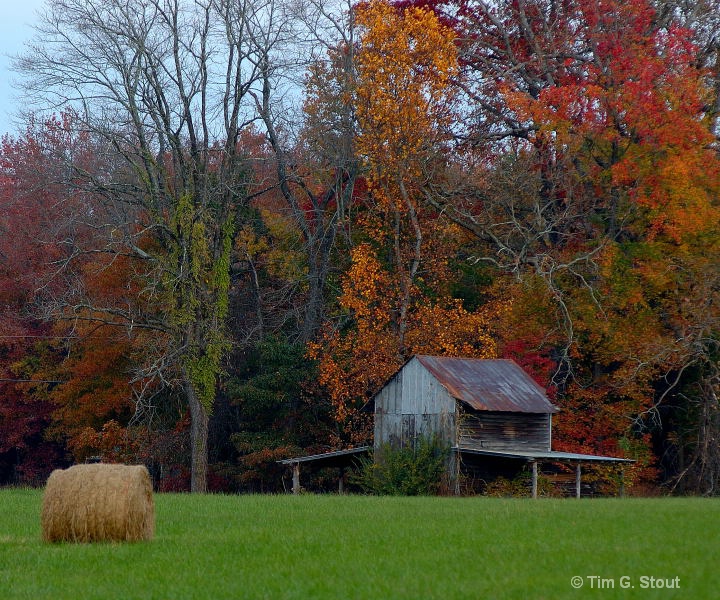 Weathered by the Seasons