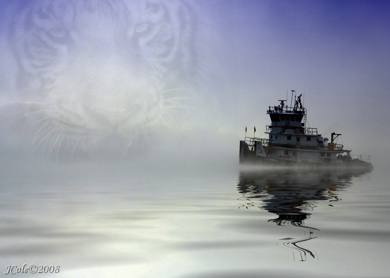 Tiger's Fog