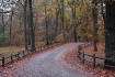 Autumn Road to Gr...