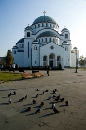 Cathedral of Saint Sava and Pigeons
