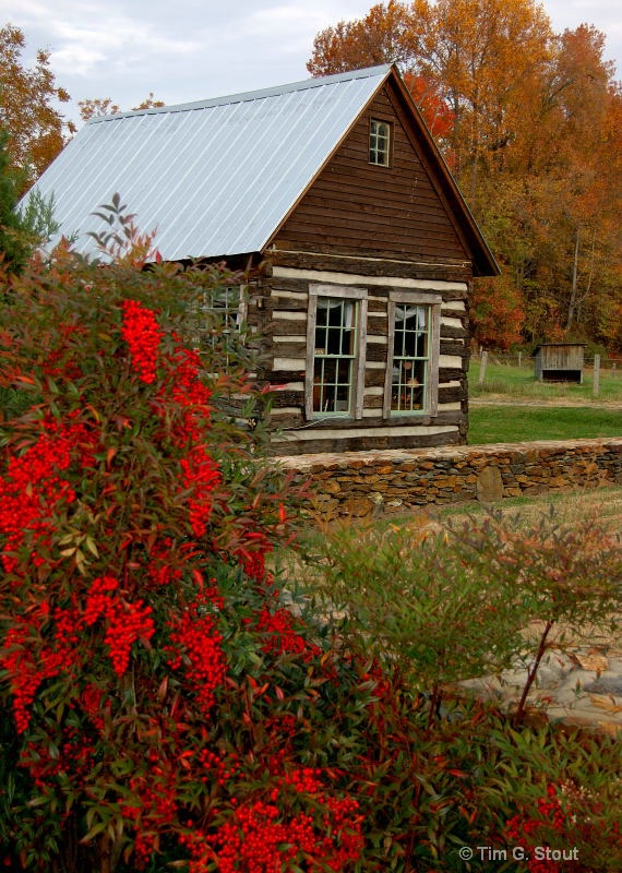 Cozy Little Cabin