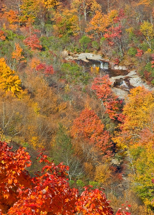 2nd Falls, Graveyard Fields, NC - ID: 7418470 © george w. sharpton