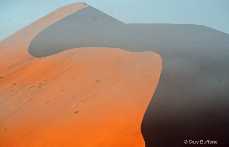 Fog Covered Dune