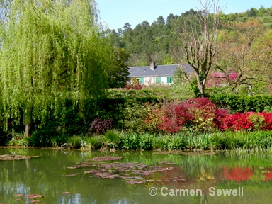 Monet's Garden, Giverney - ID: 7426889 © Carmen B. Sewell