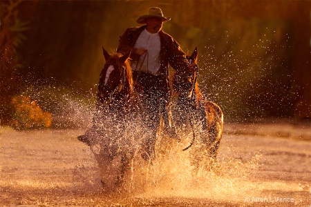 Evening River Crossing