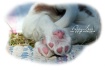My puppylove...