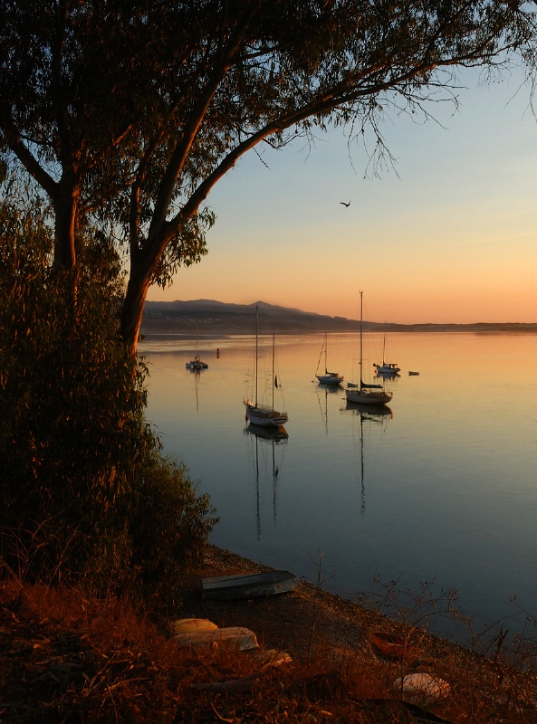 Framed Boats at Sunset