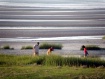 Low Tide