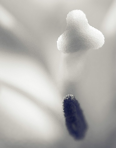 It's in the Details