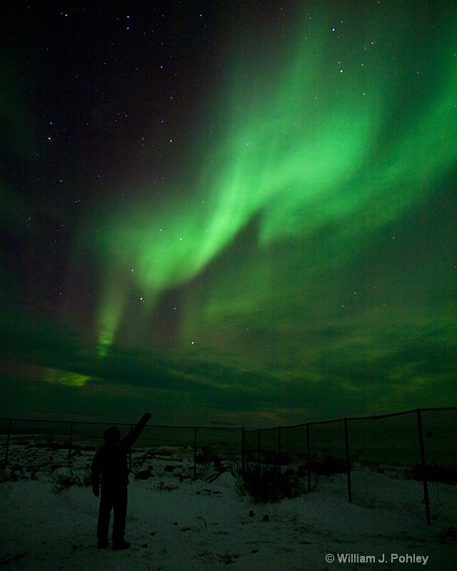Northern Lights 3 - ID: 7449178 © William J. Pohley