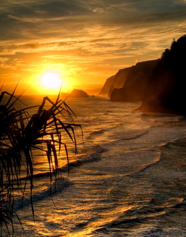 A New Day
