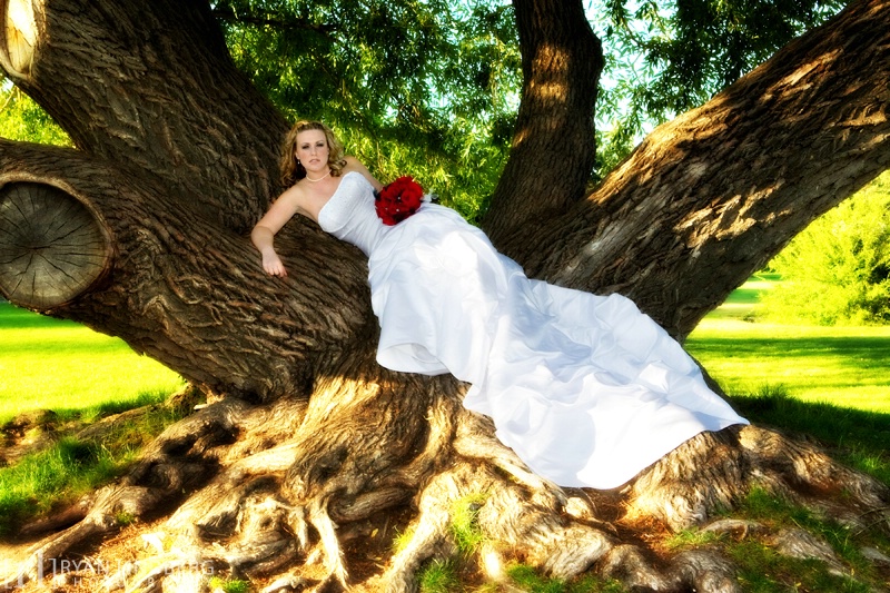 Bride in Tree