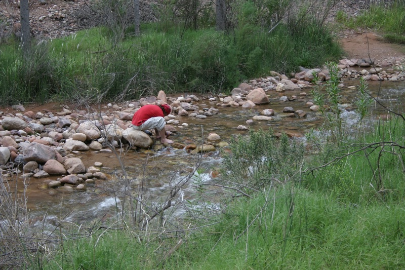 Hiker Cooling His Feet in the Creek - ID: 7456418 © Patricia A. Casey