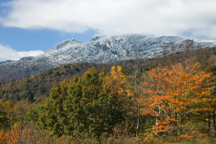 October Snow on Grandfather Mt., NC - ID: 7456554 © george w. sharpton