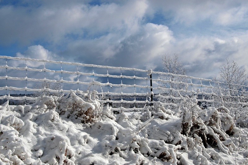 Snow Fence