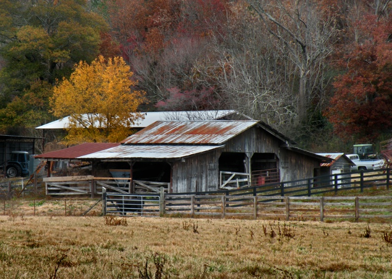 Georgia Barn