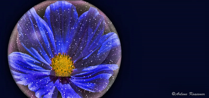 Flower In A Globe