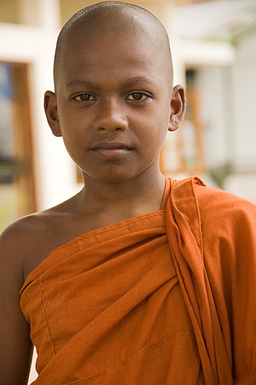 Beyond-his-Years, Asgirya Maha Vihara, Kandy - ID: 7464788 © Mike Keppell