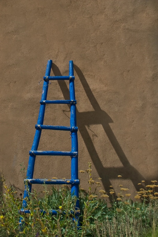 Blue Ladder.