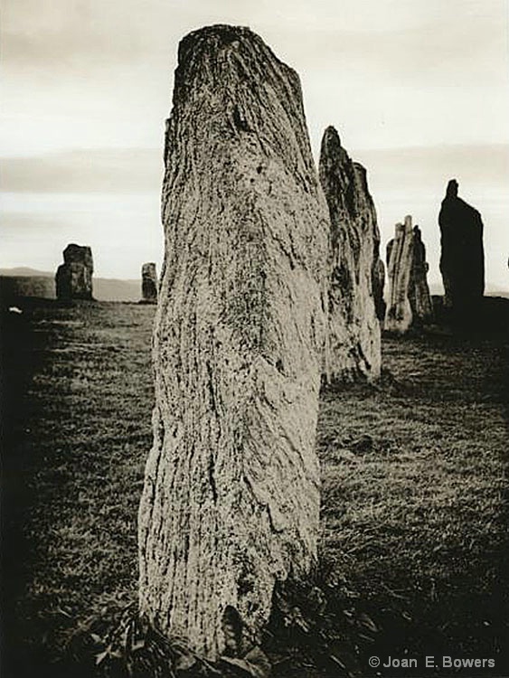 Calanais Stones - ID: 7484893 © Joan E. Bowers