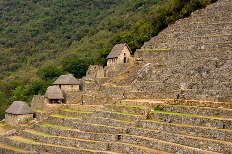 Incan Terraces