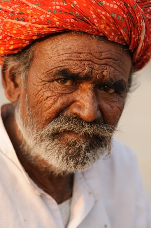 Street musician, Jaipur, India, 2008.