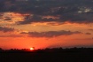 Fiery Sunset