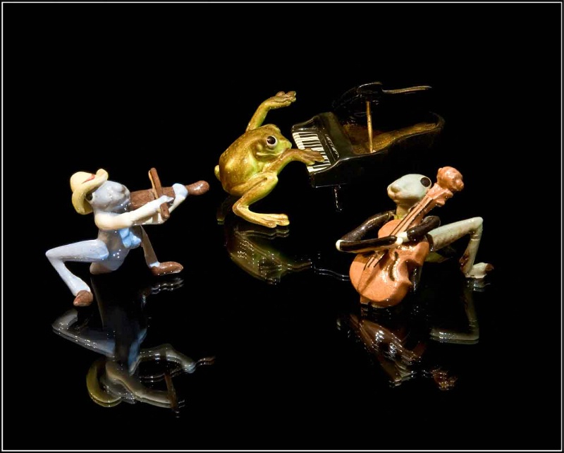 Tiny Trio - ID: 7490713 © Endre Balogh