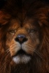 Up Close and Pers...