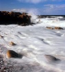 Receding Tide Hop...