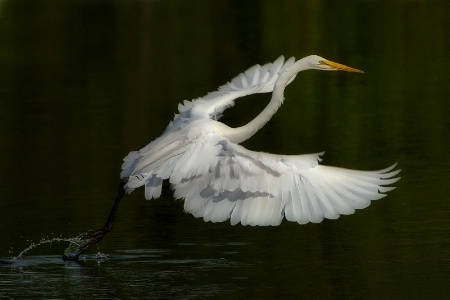 Taking Off